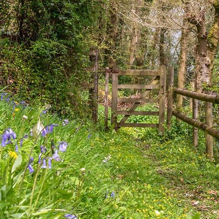 Bed and Breakfast Nutsford House Dulverton Exterior foto