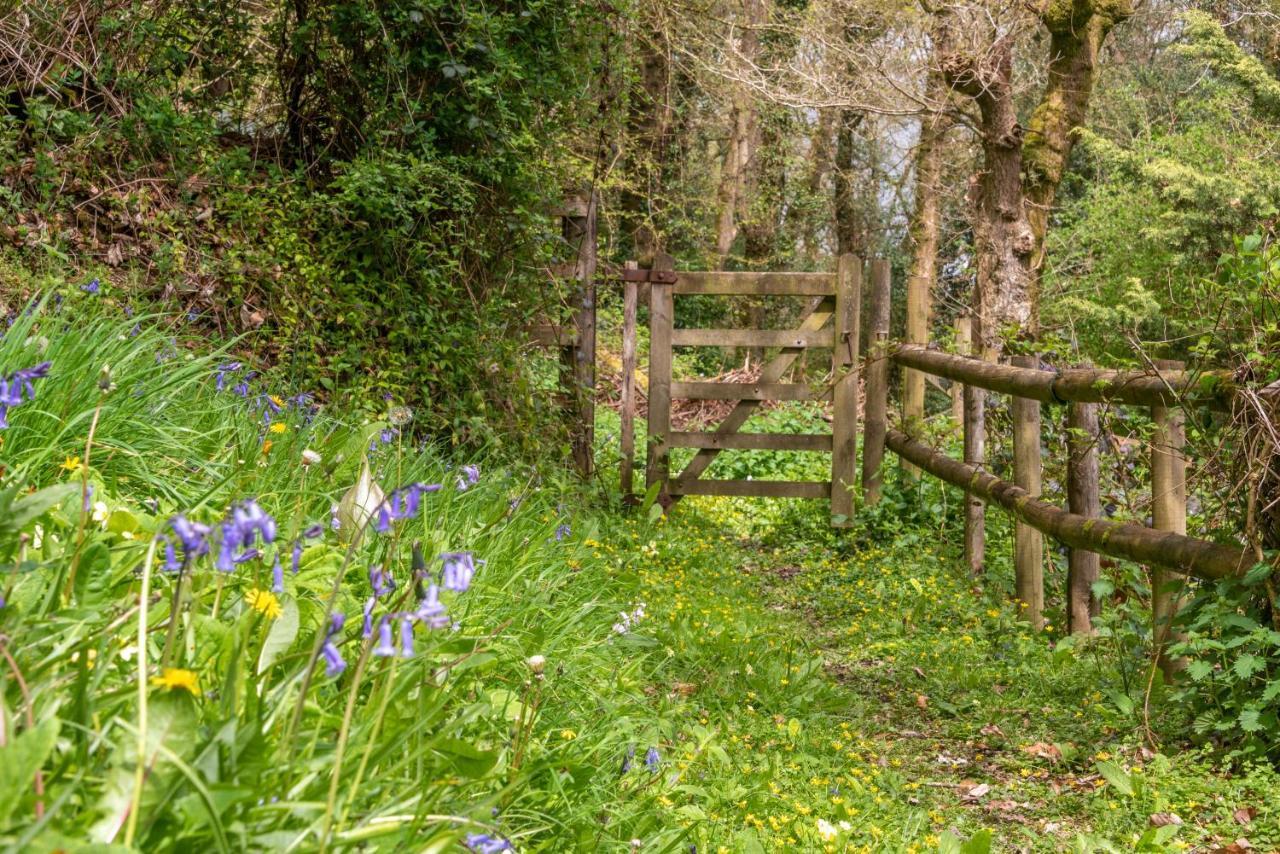 Bed and Breakfast Nutsford House Dulverton Exterior foto